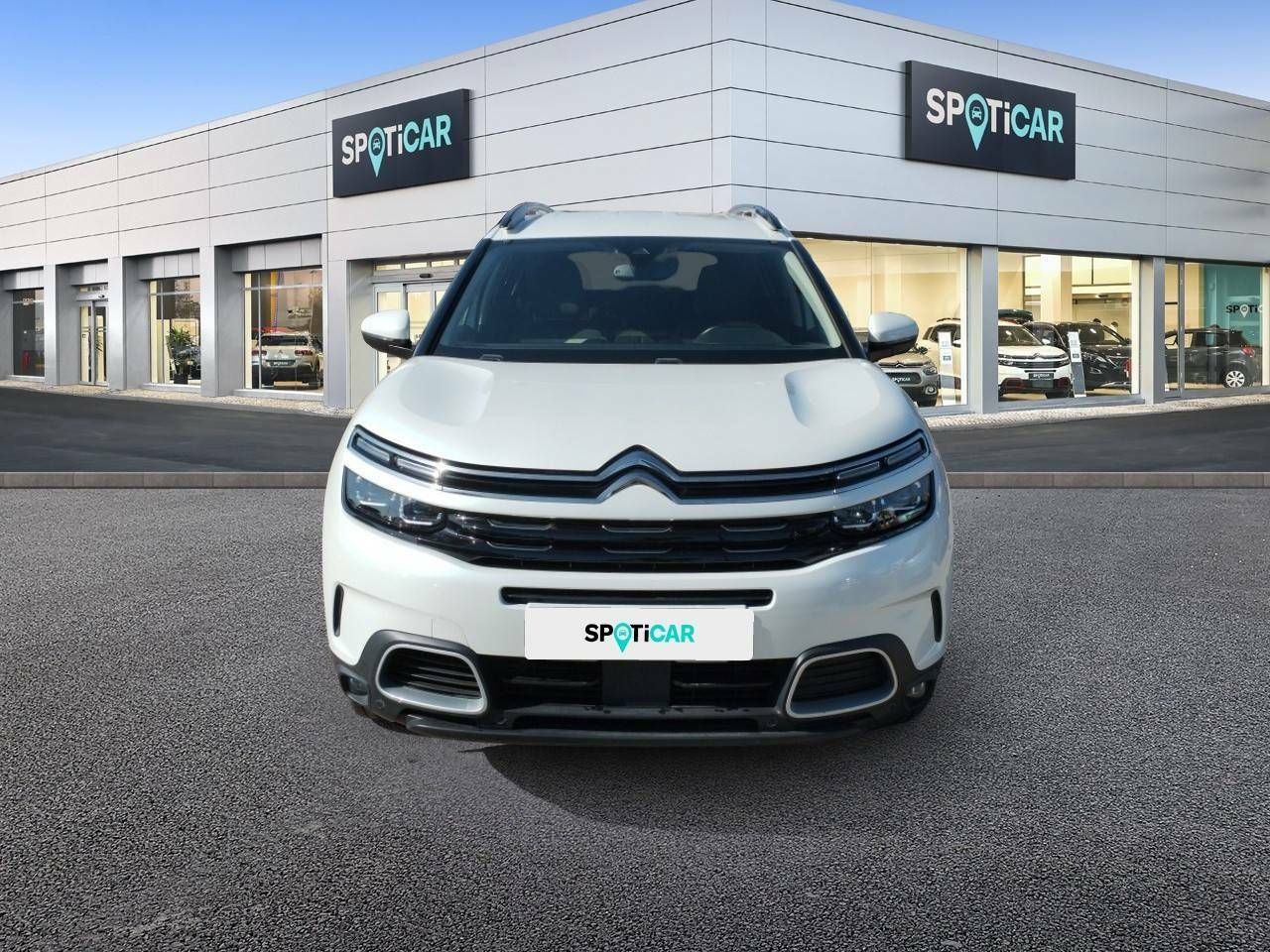 citroën c5 aircross 2019 / foto grande (2)