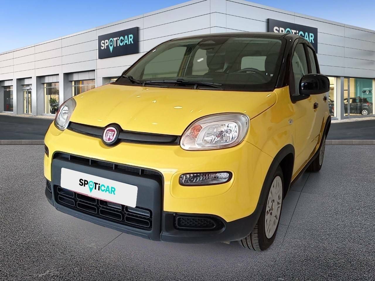 fiat panda 2025 /