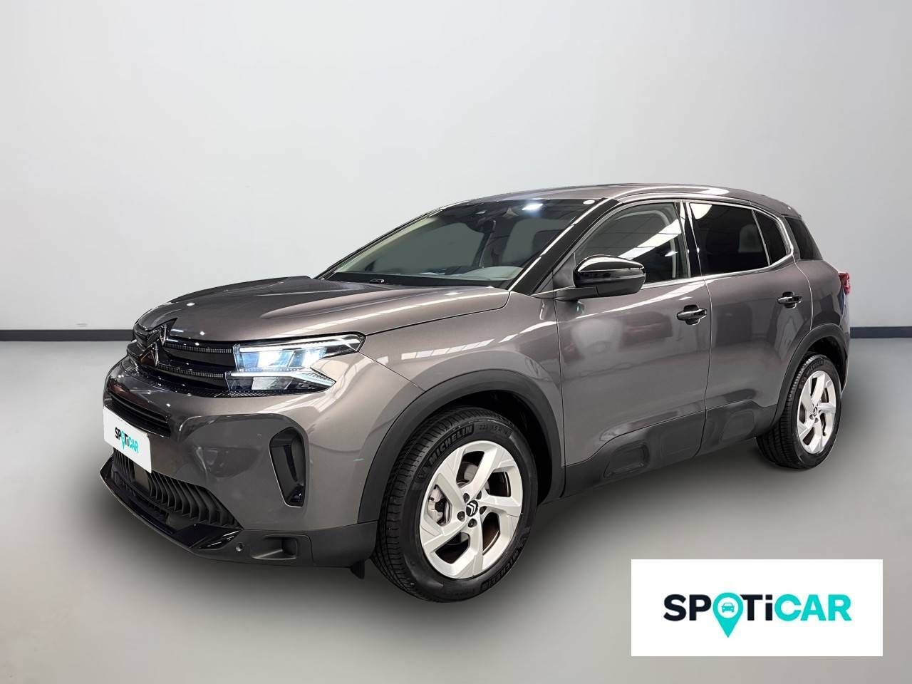 Citroën C5 Aircross BlueHdi 96kW (130CV) S&S EAT8 Plus