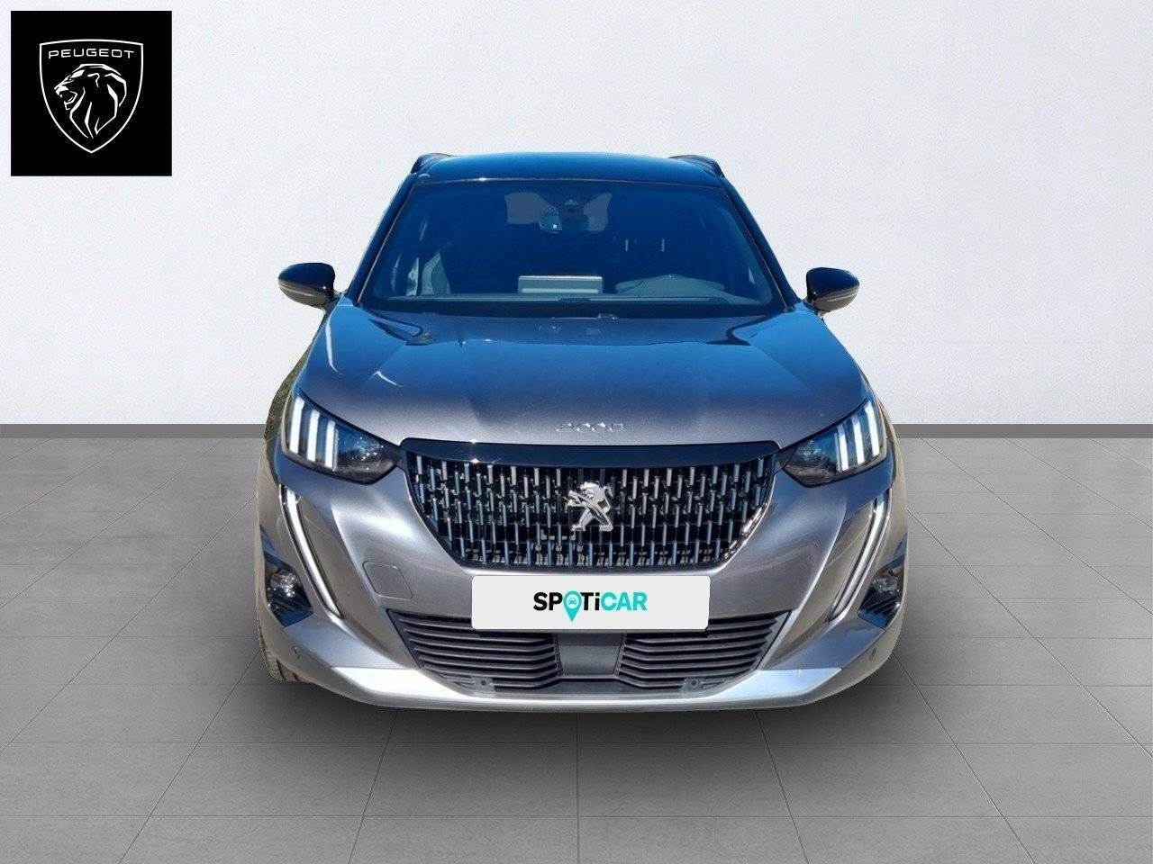 peugeot 2008 2021 / foto grande (2)