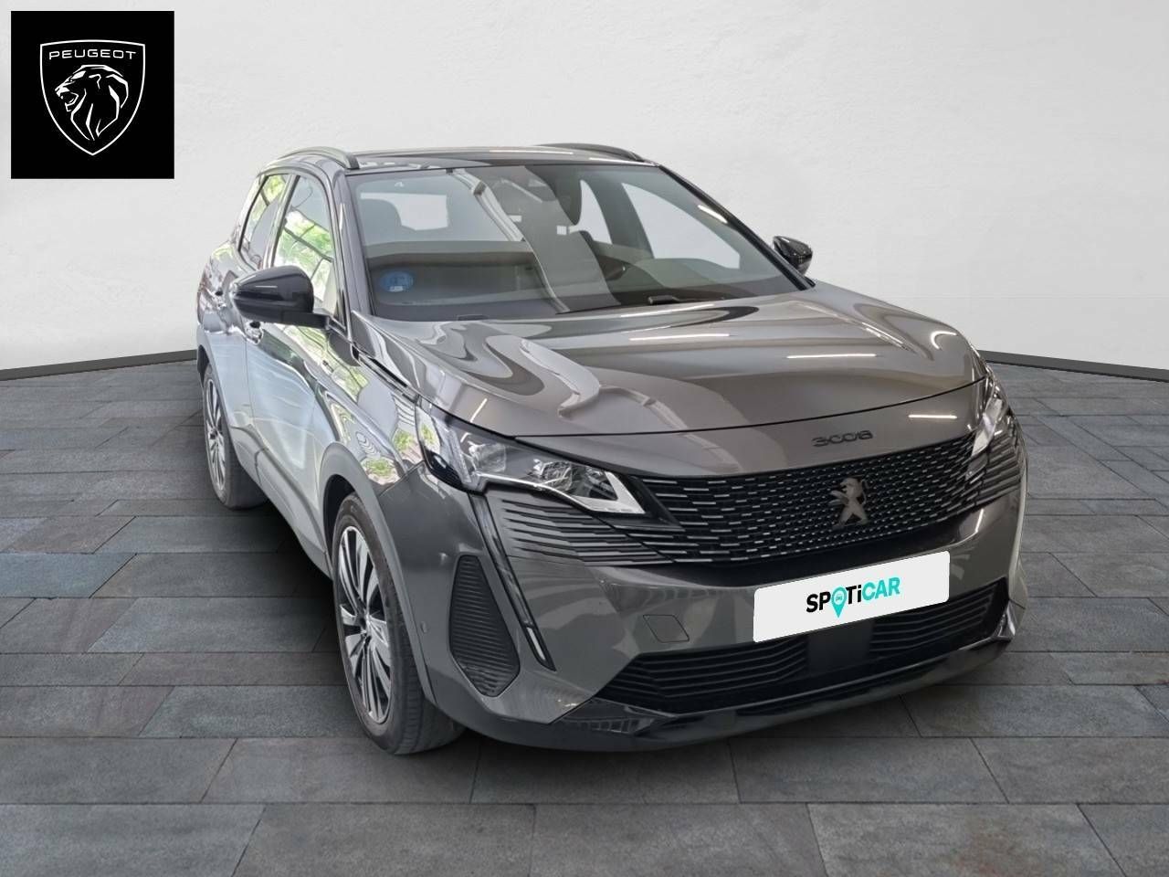 peugeot 3008 2022 / foto grande (3)