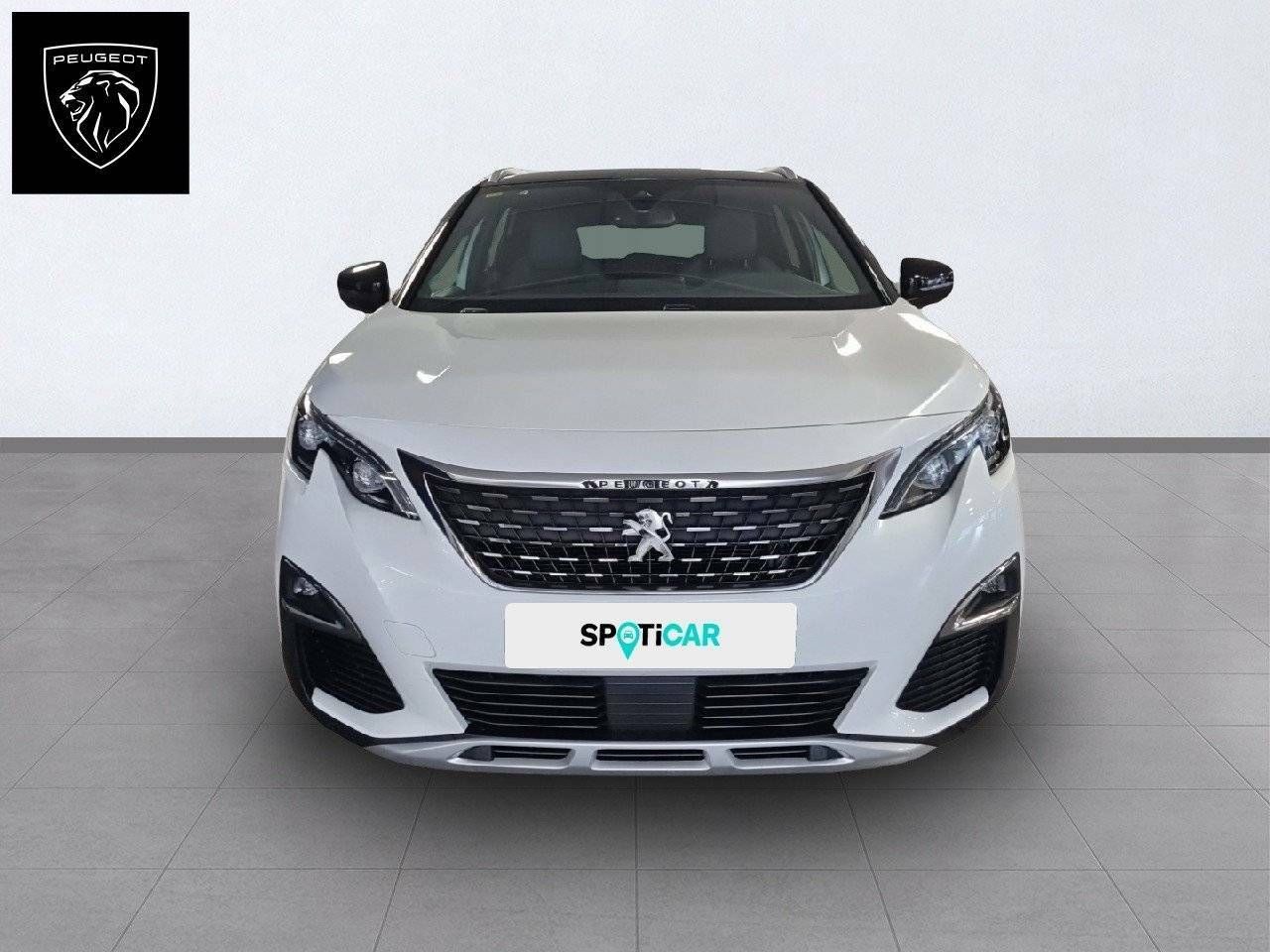 peugeot 3008 2018 / foto grande (2)