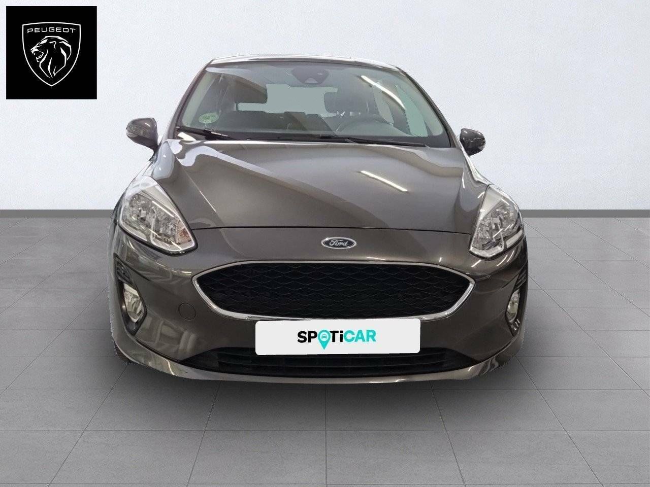 ford fiesta 2019 / foto grande (2)
