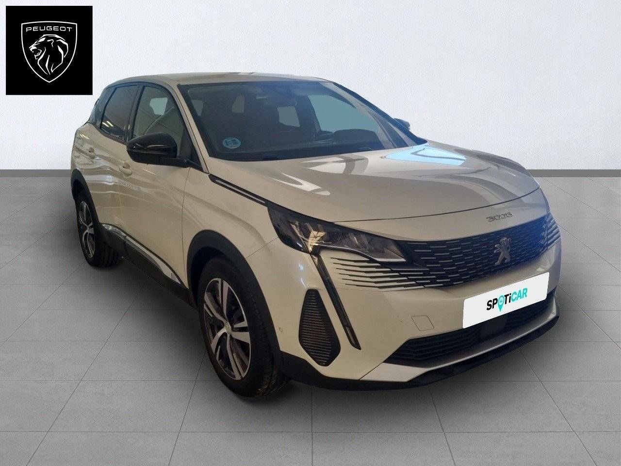 peugeot 3008 2021 / foto grande (3)