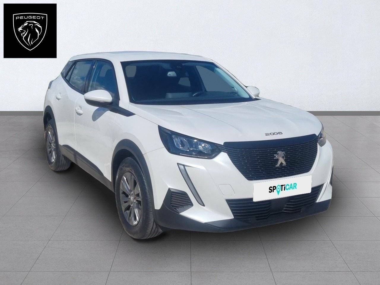 peugeot 2008 2021 / foto grande (3)