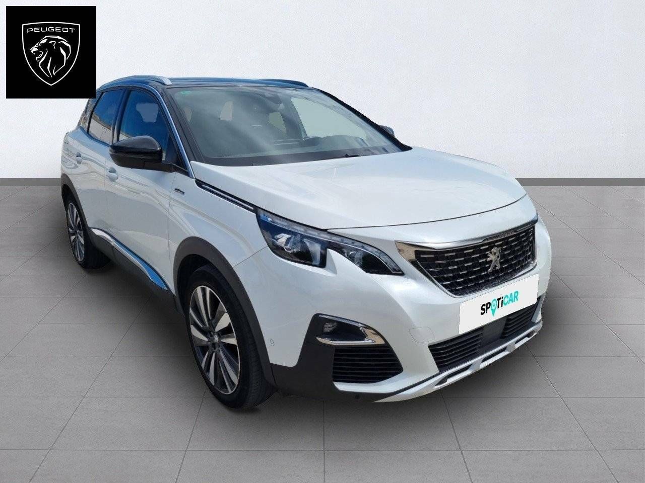 peugeot 3008 2019 / foto grande (3)