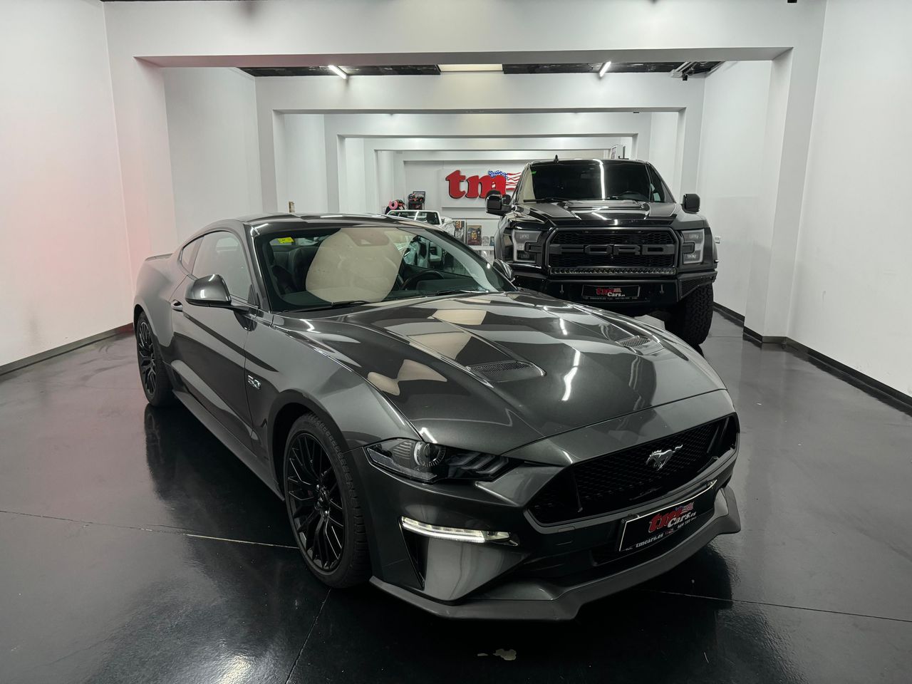 ford mustang 2019 / foto grande (2)