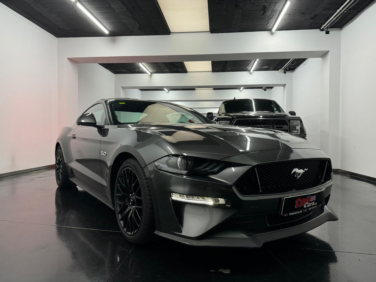 ford mustang 2019 / foto grande (3)