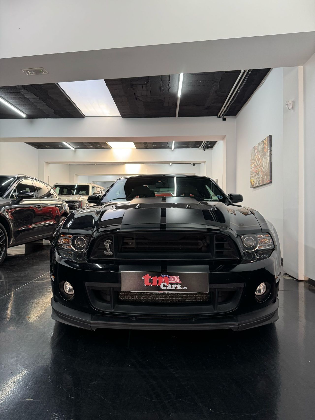 ford mustang 2013 / foto grande (3)