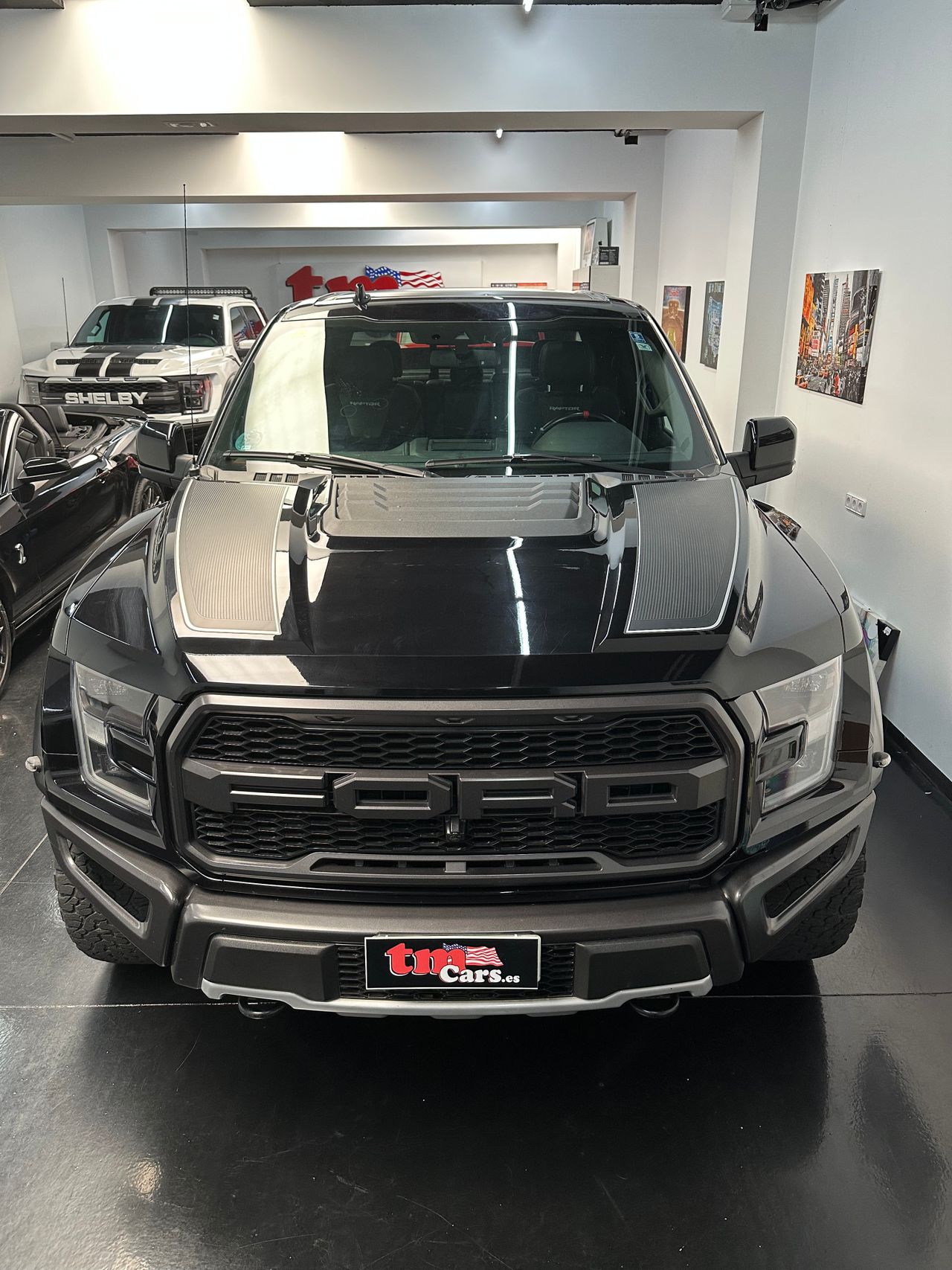 Ford F-150 RAPTOR
