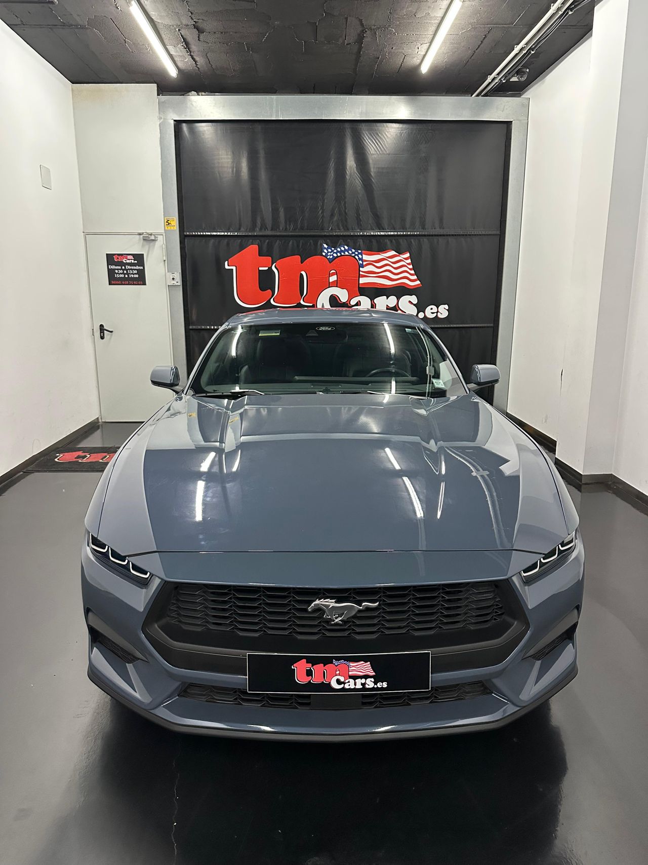 ford mustang 2024 / foto grande (3)