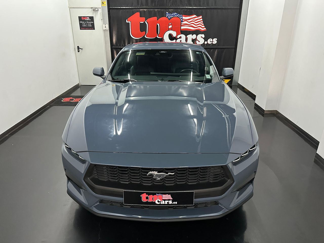 Foto ford mustang 2024 /