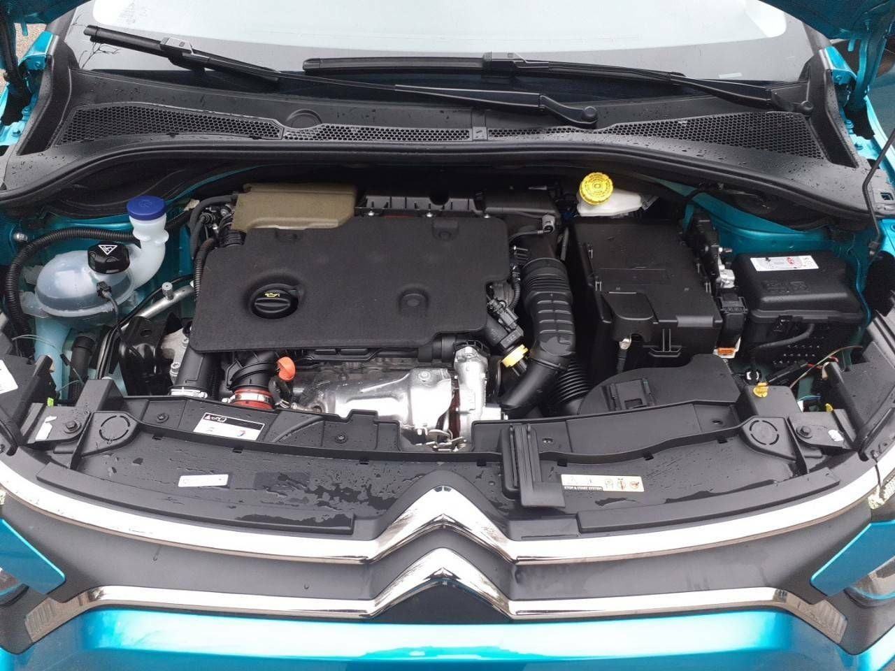 Citroën C3 BlueHDi 75KW (100CV) S&S Shine - foto 12