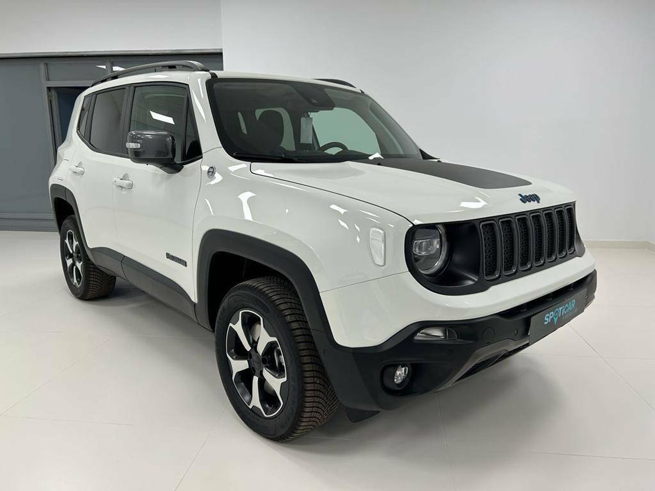 jeep renegade 2022 / foto grande (3)