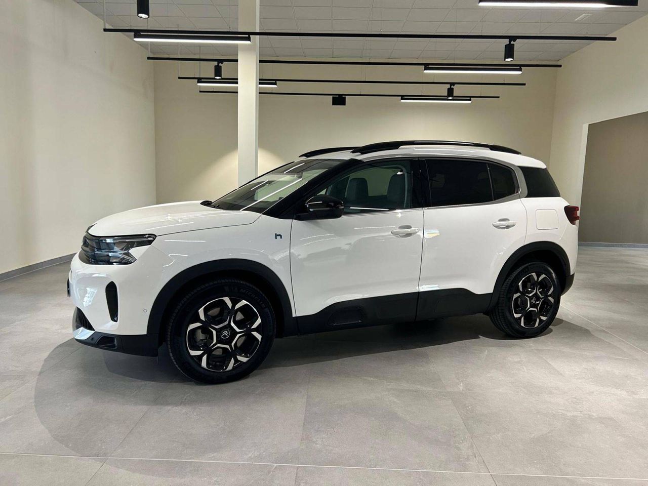 citroën c5 aircross 2022 / foto grande (2)