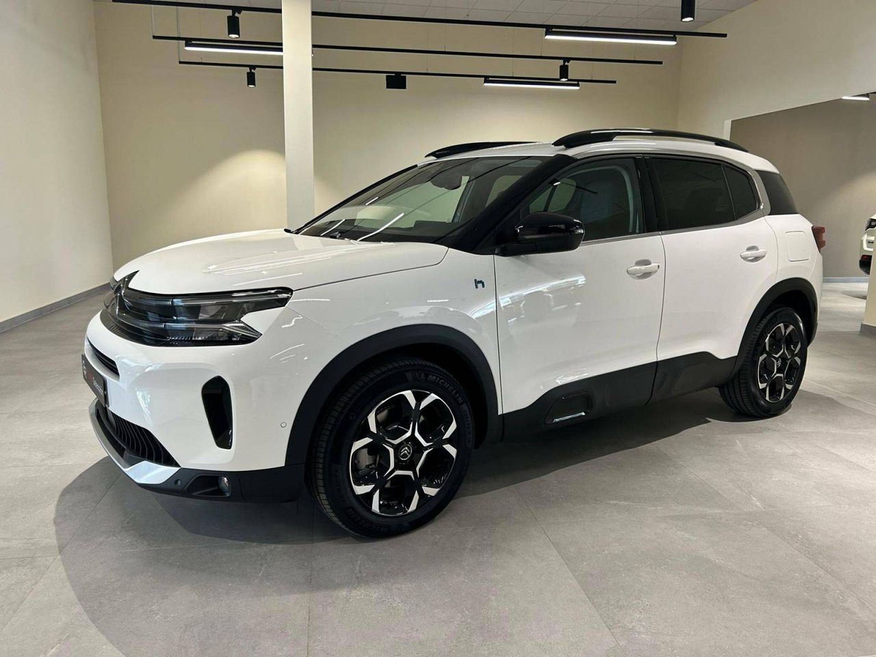 citroën c5 aircross 2022 / foto grande (3)