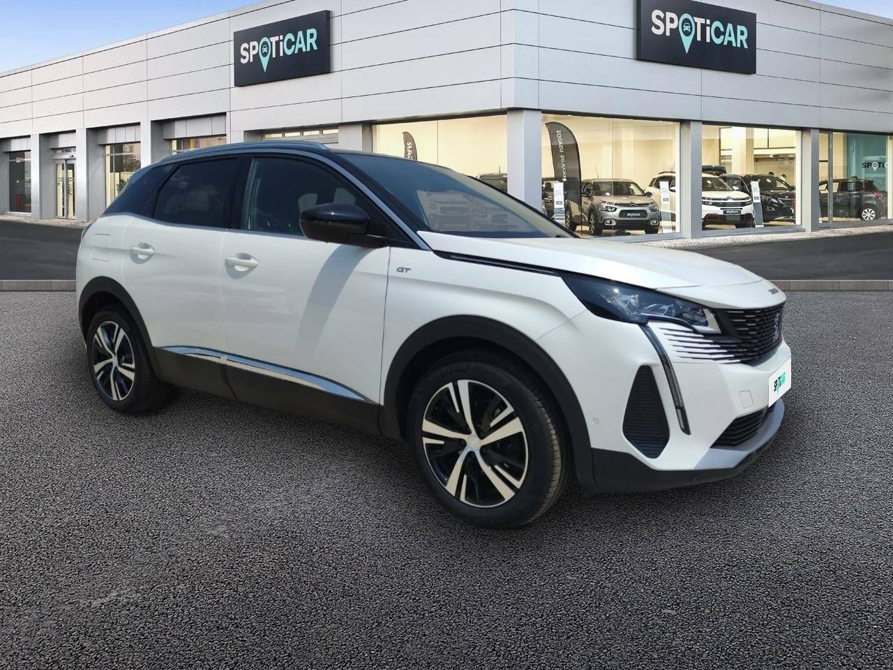 peugeot 3008 2022 / foto grande (3)