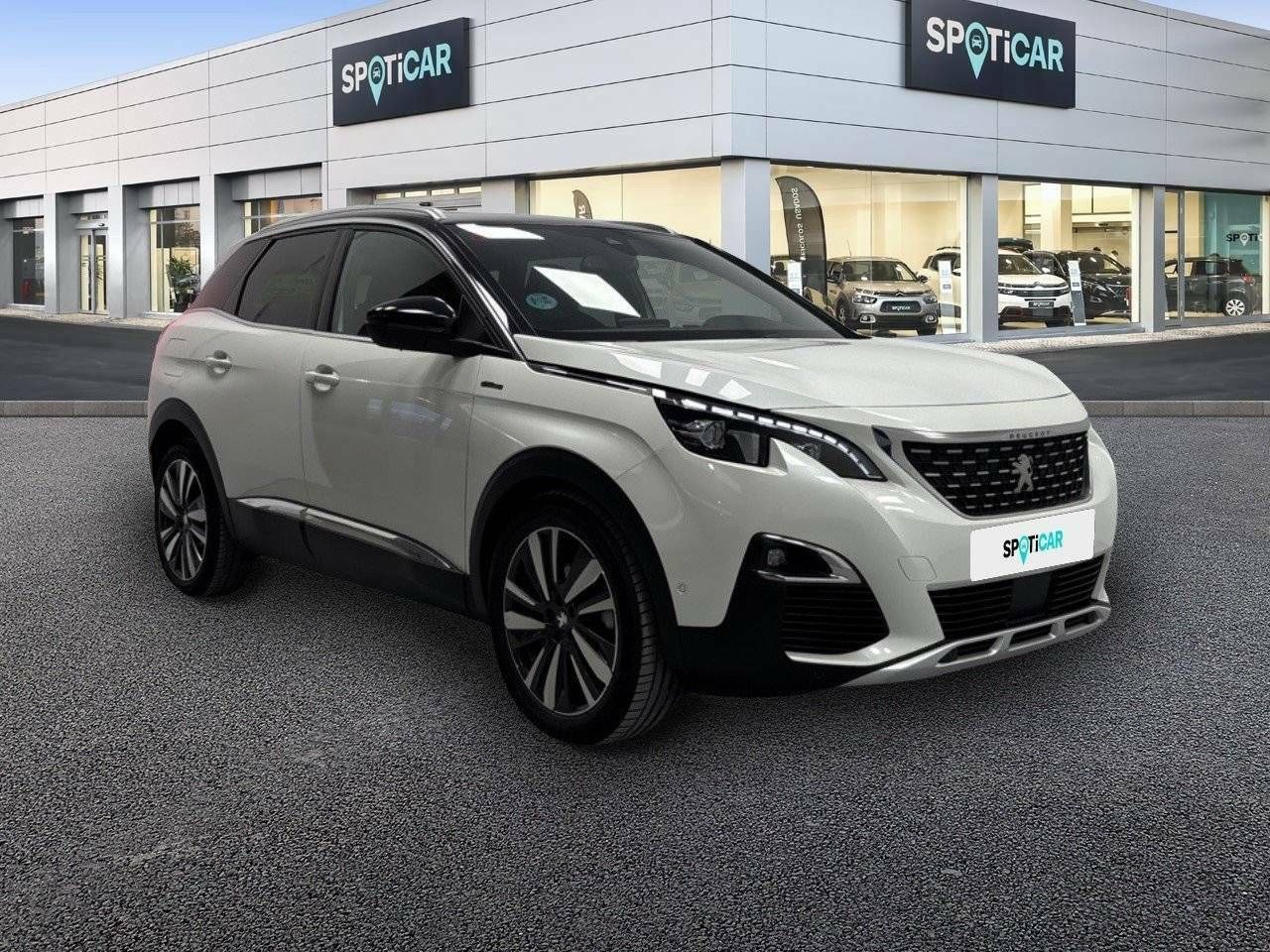 peugeot 3008 2020 / foto grande (3)