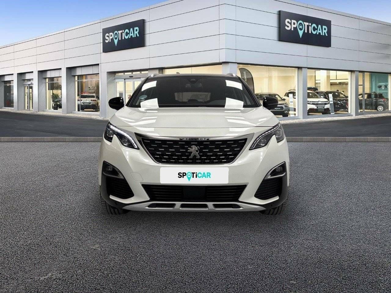 peugeot 3008 2020 / foto grande (2)