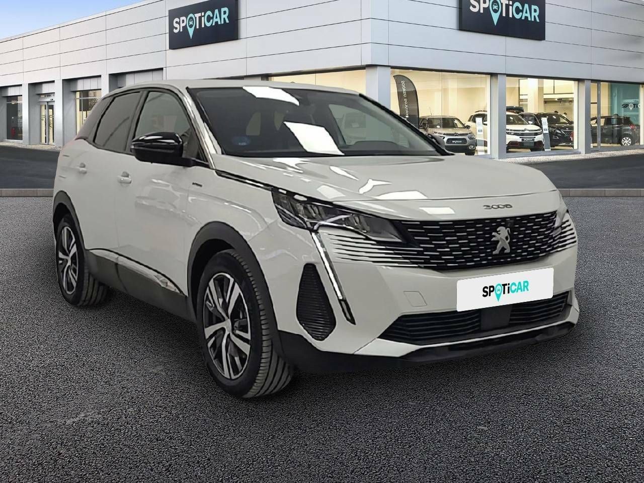 peugeot 3008 2022 / foto grande (3)