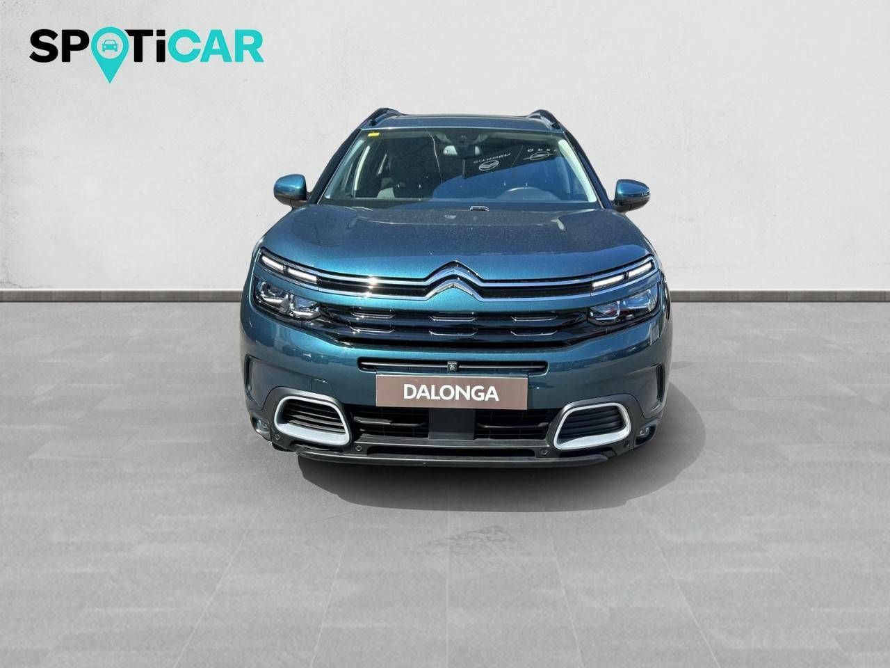 citroën c5 aircross 2020 / foto grande (2)