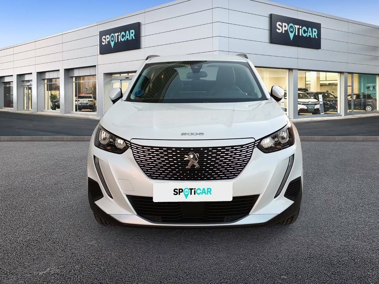 peugeot 2008 2020 / foto grande (2)