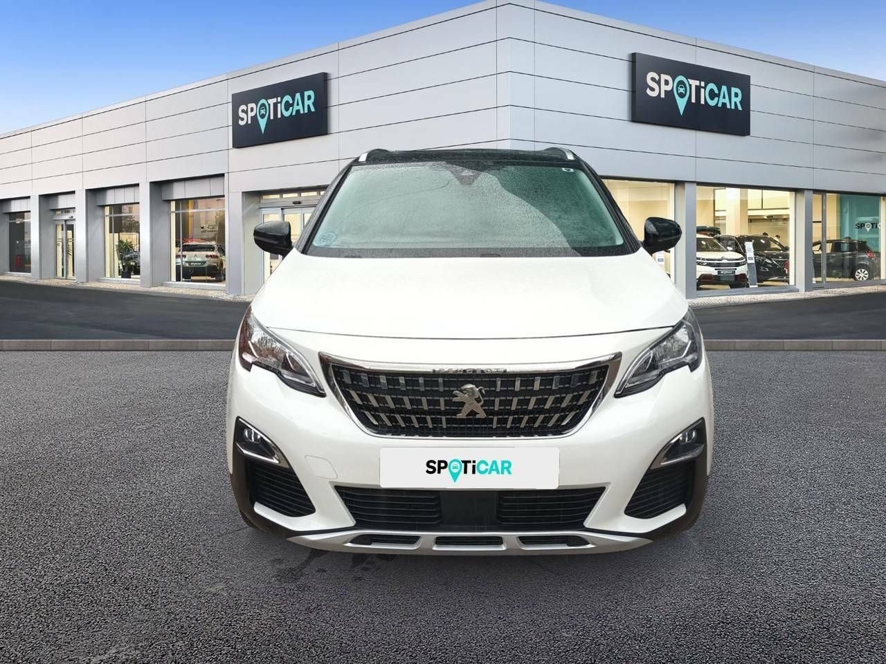 peugeot 3008 2019 / foto grande (2)