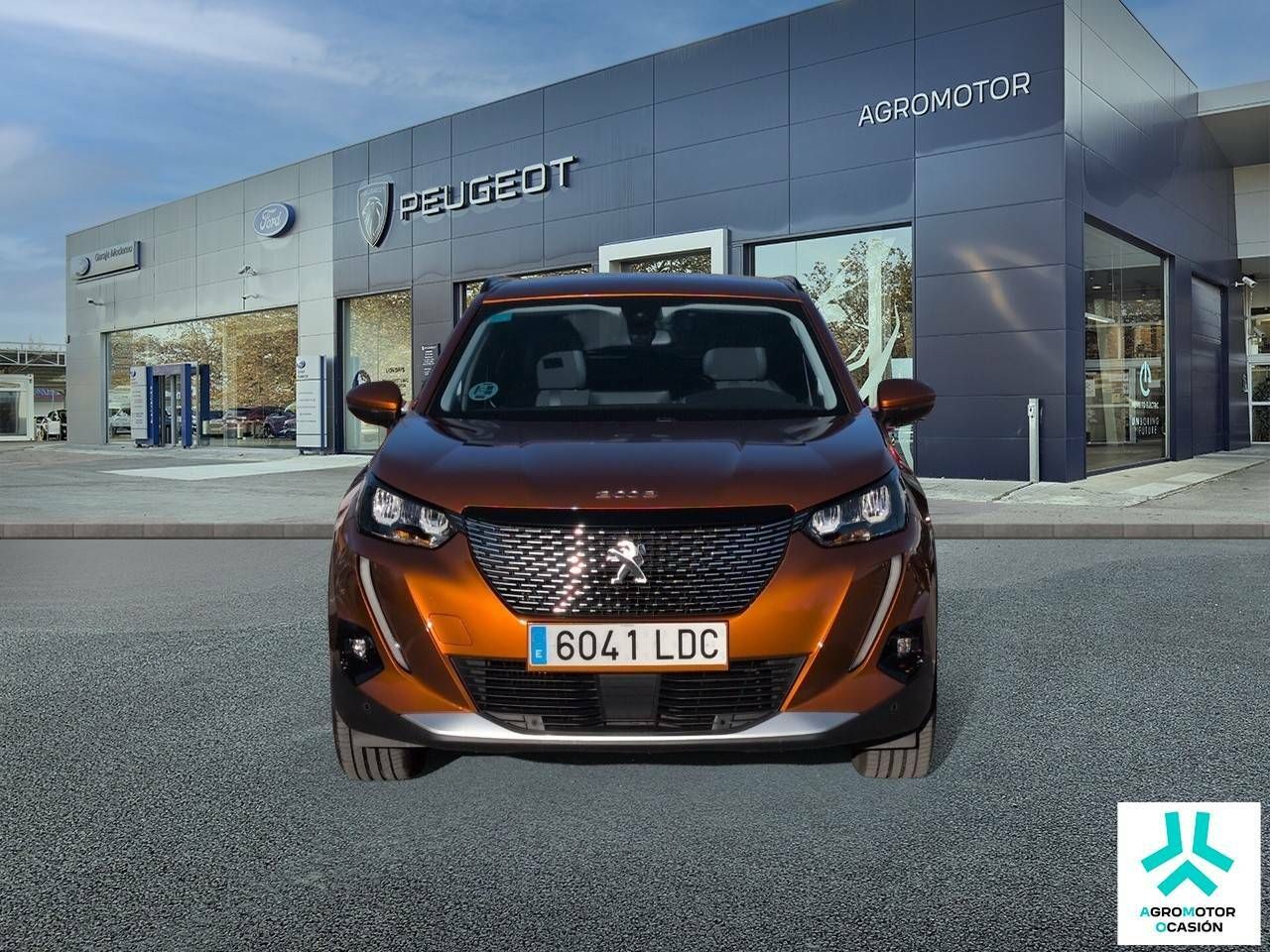 peugeot 2008 2019 / foto grande (2)