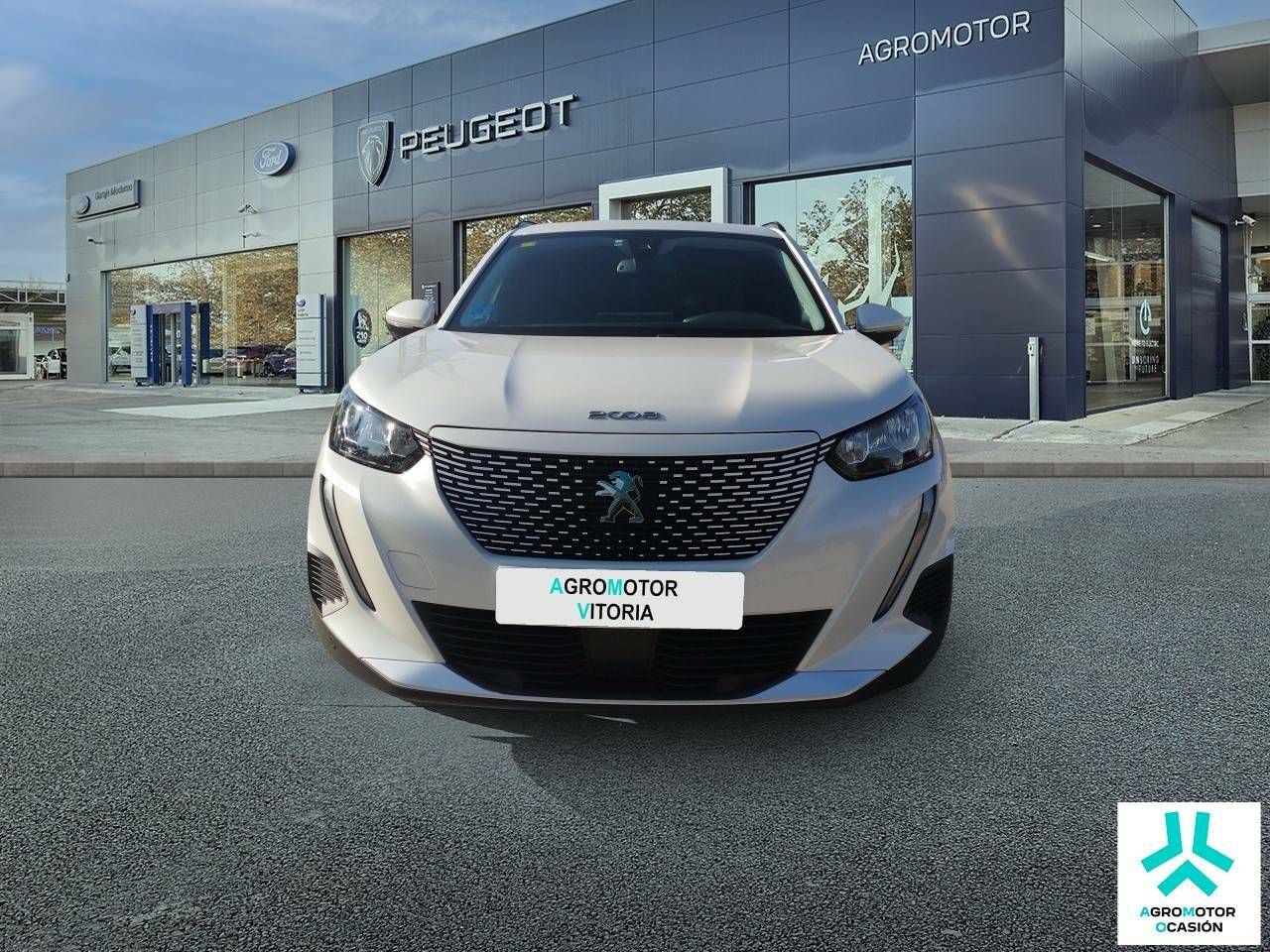 peugeot 2008 2020 / foto grande (2)