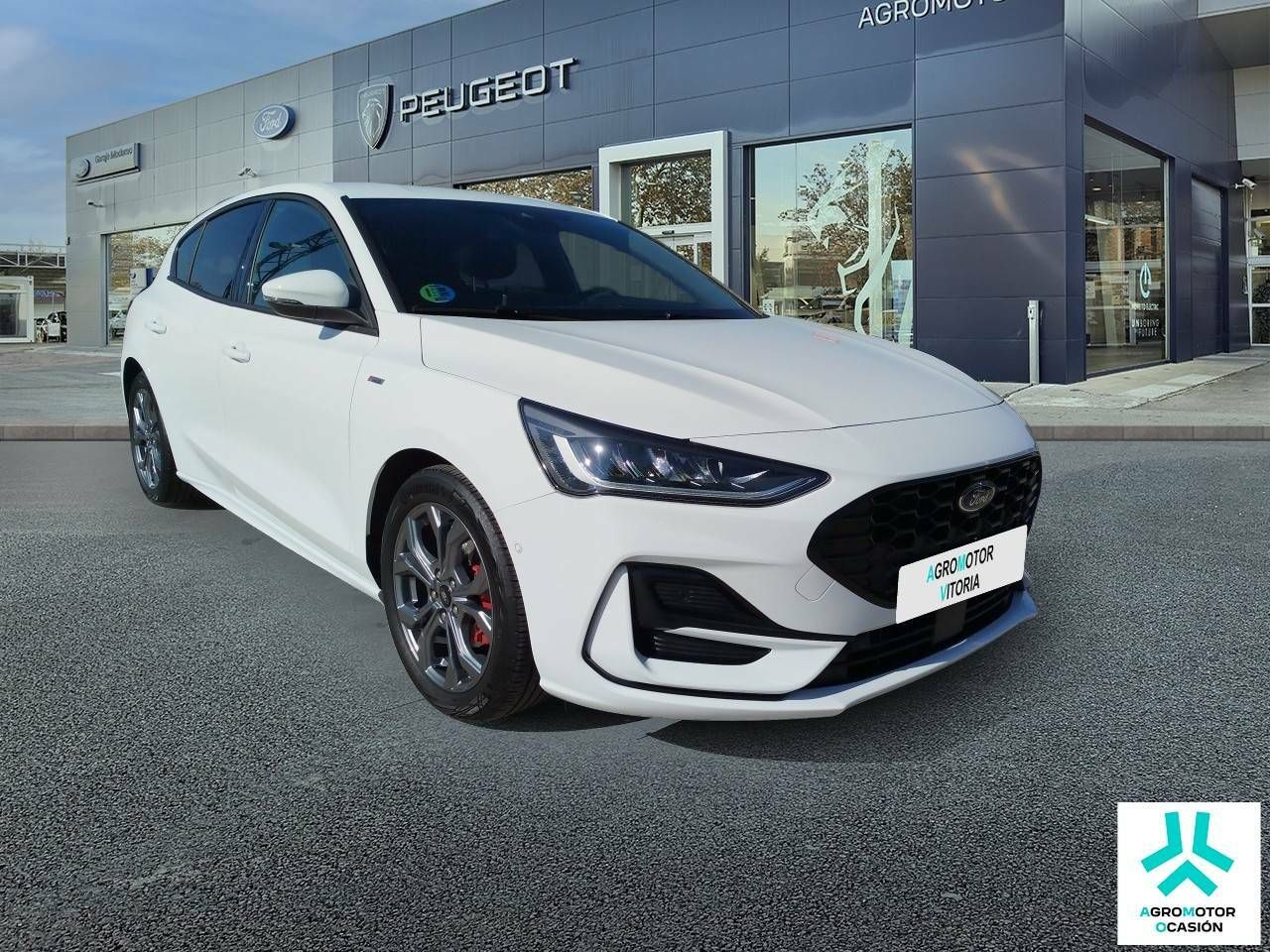 ford focus 2024 / foto grande (3)