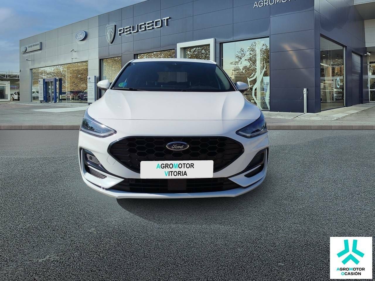 ford focus 2024 / foto grande (2)