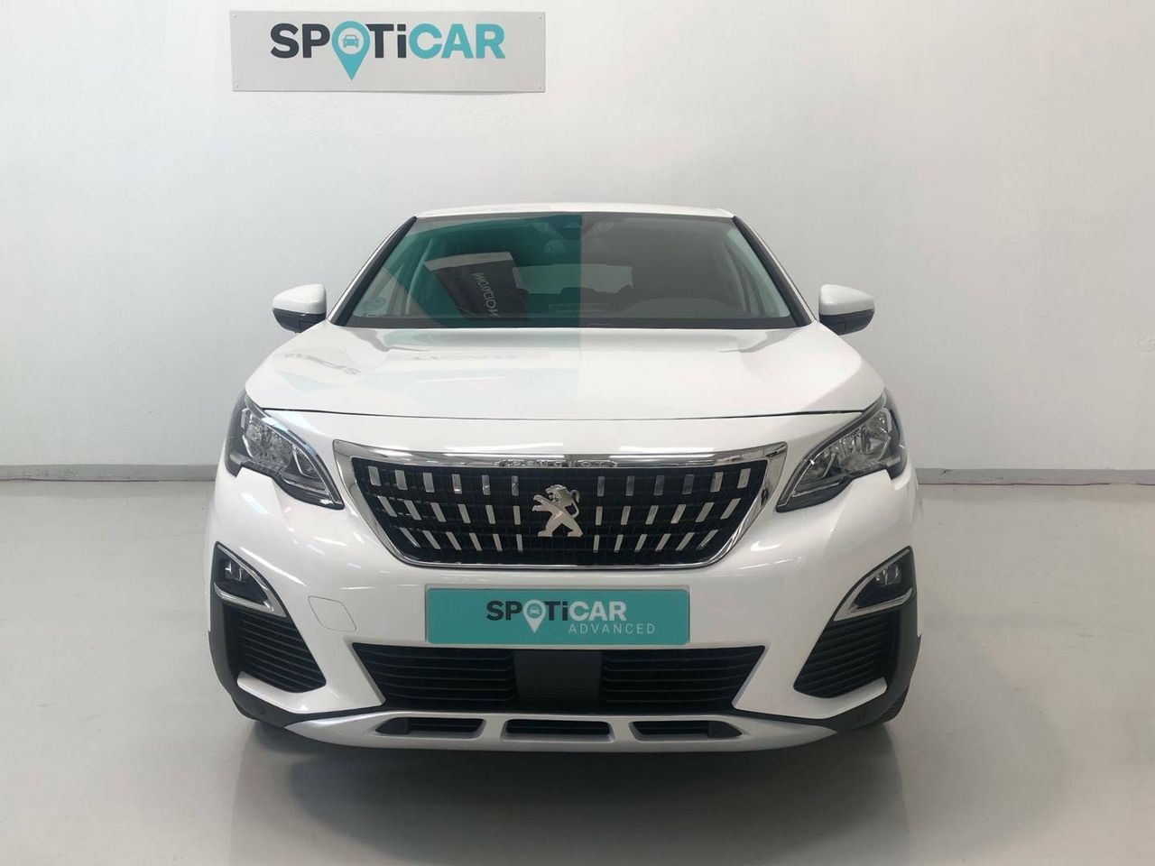 peugeot 3008 2019 / foto grande (2)