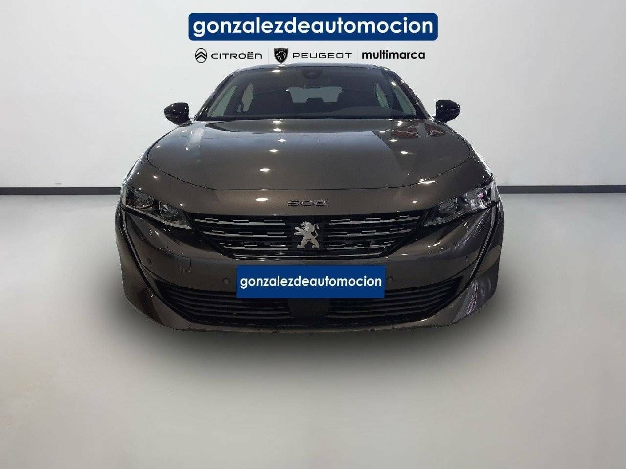 peugeot 508 2021 / foto grande (2)
