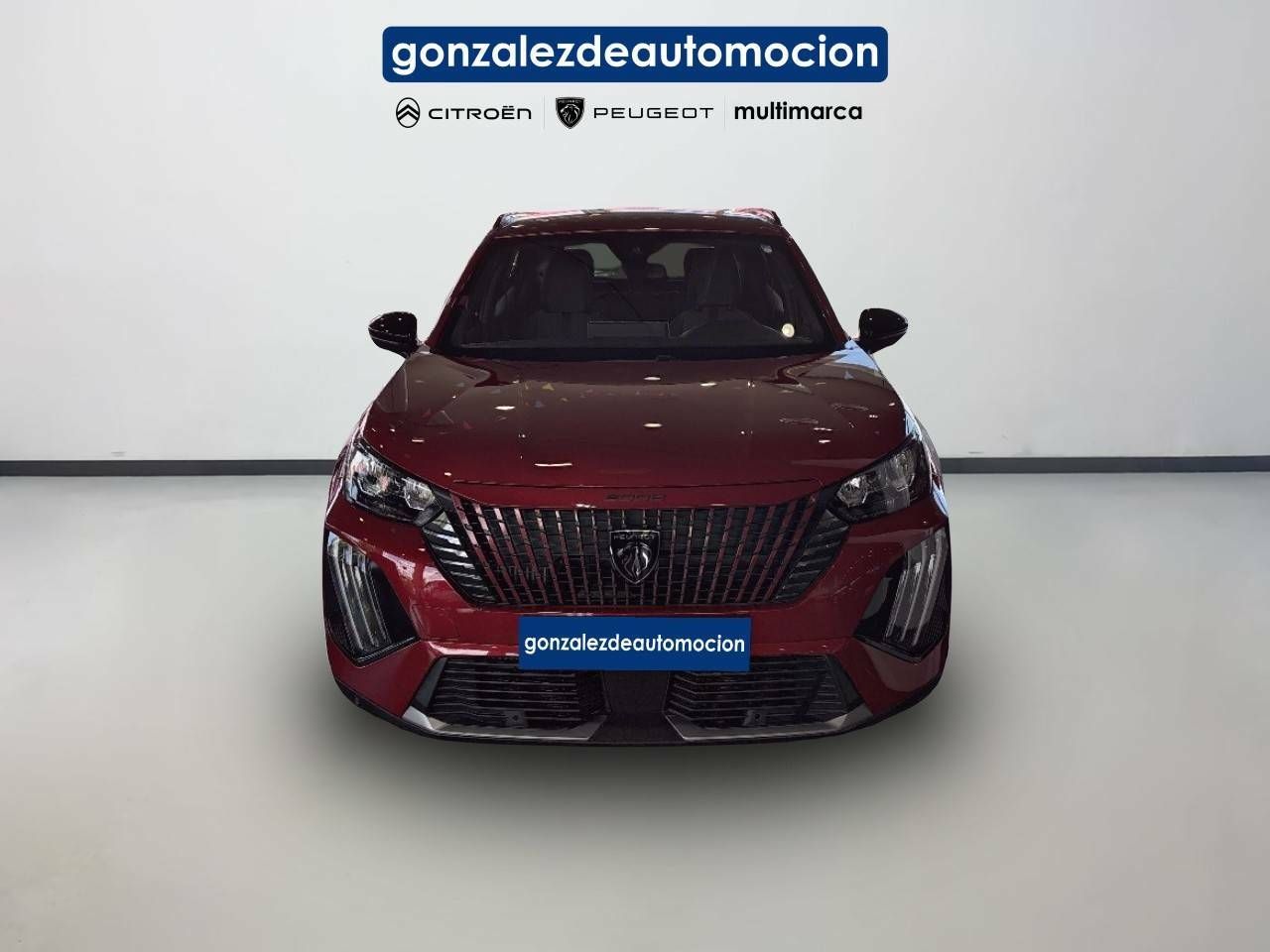 peugeot 2008 2024 / foto grande (2)