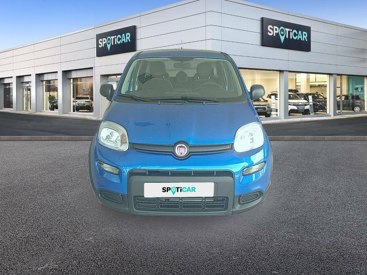fiat panda 2025 / foto grande (2)