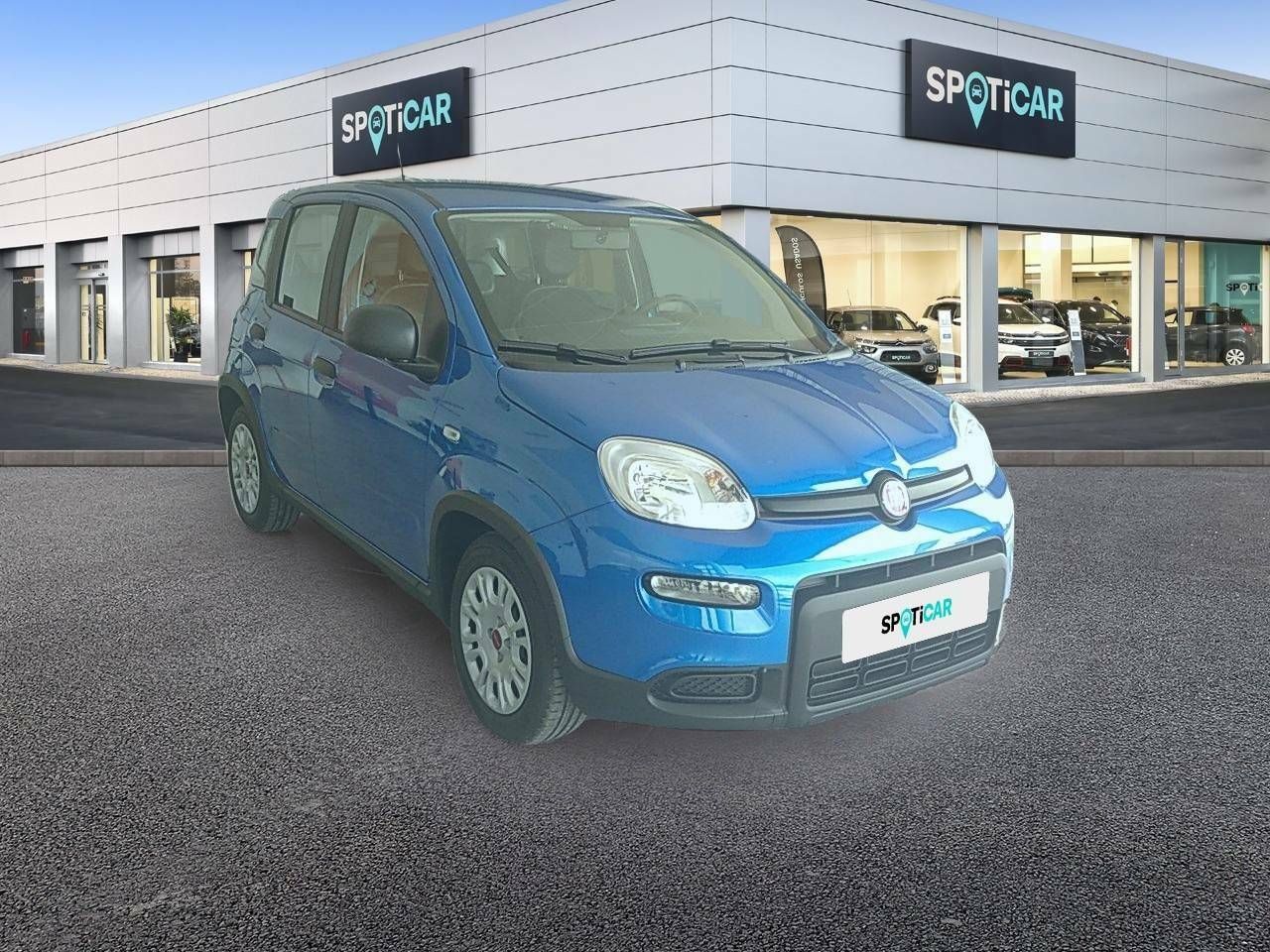 fiat panda 2025 / foto grande (3)