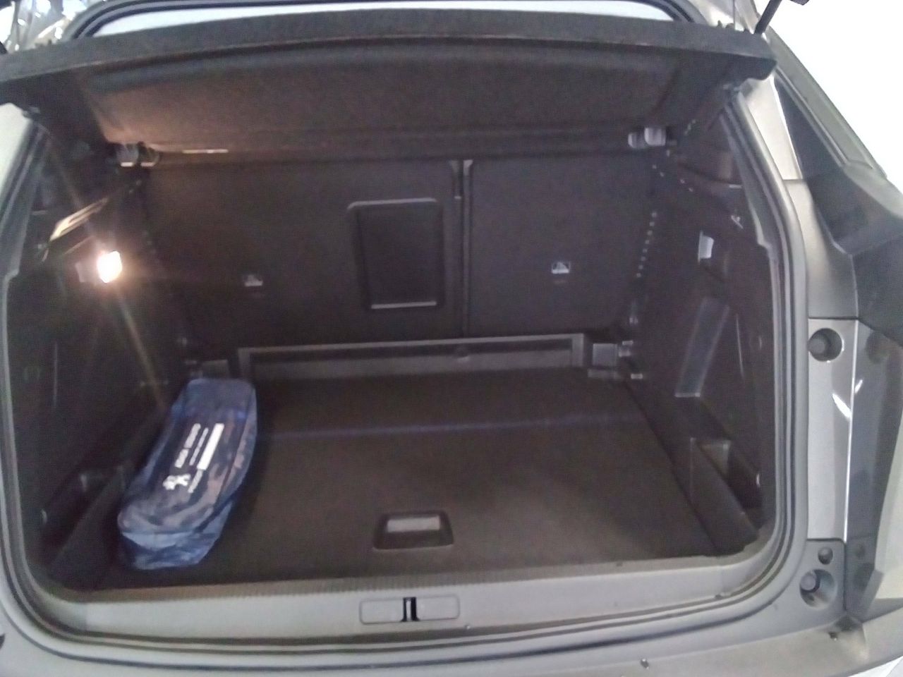 peugeot 3008 2021 / foto grande (2)
