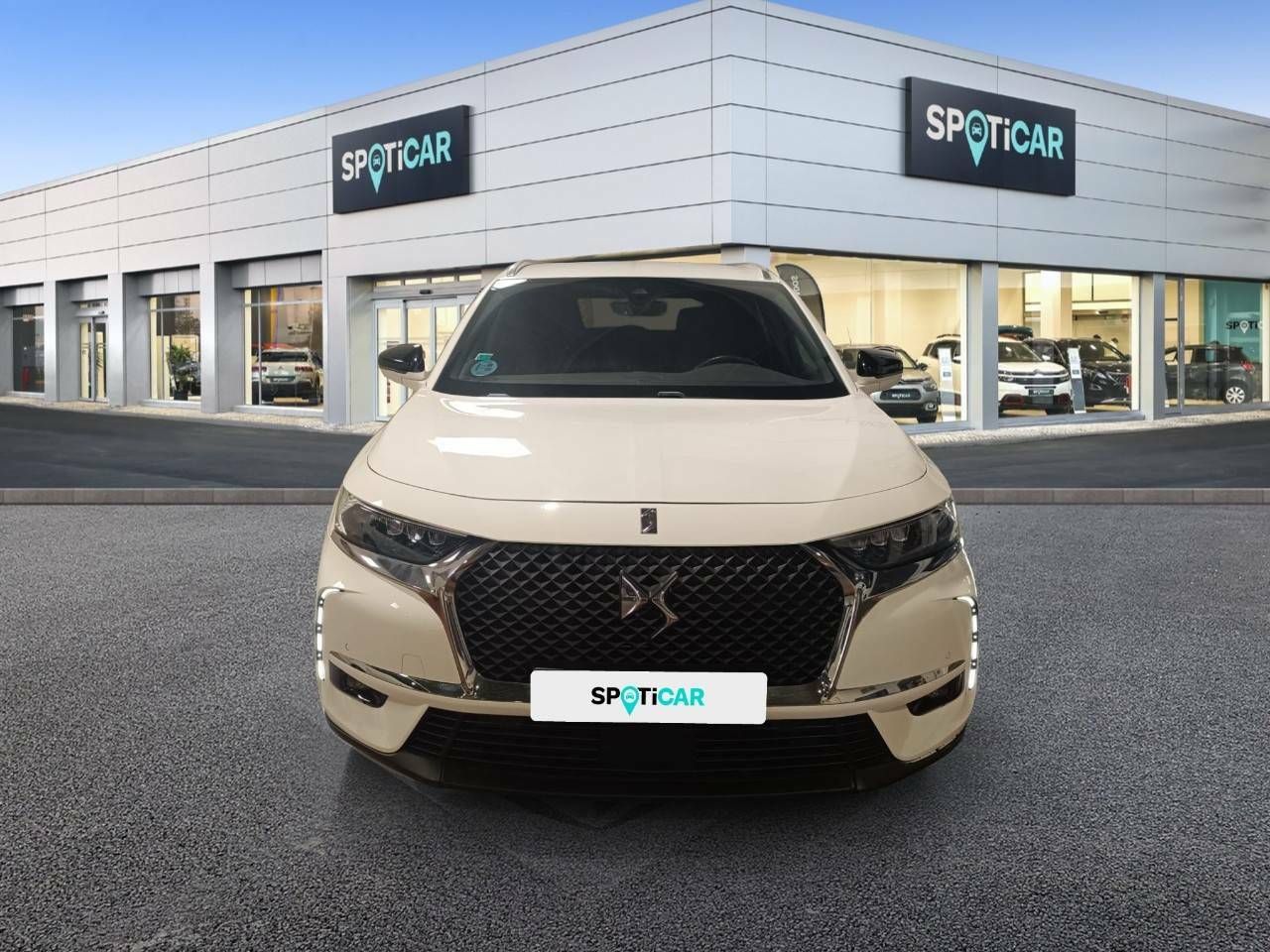 ds ds 7 2019 / foto grande (2)