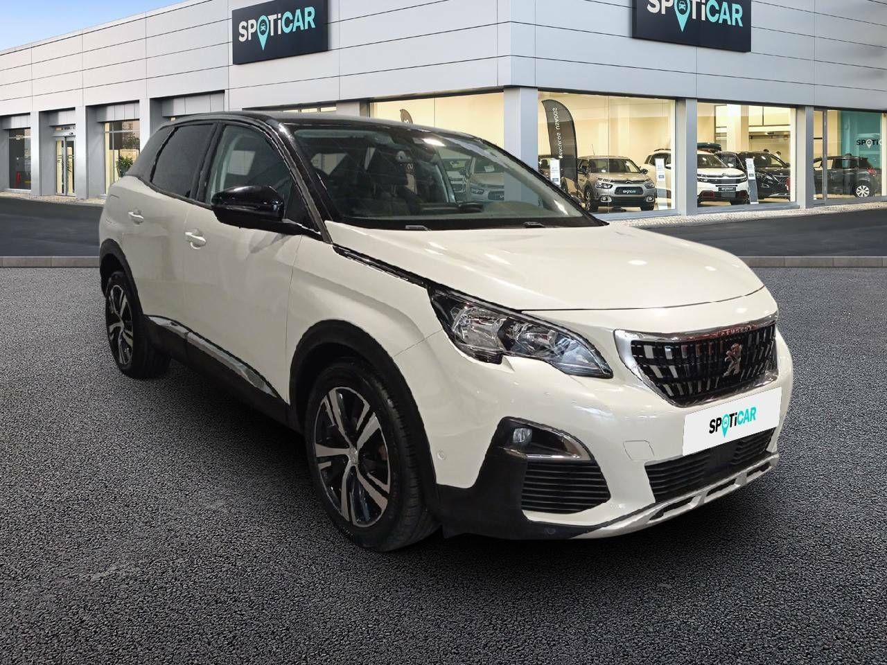 peugeot 3008 2019 / foto grande (3)