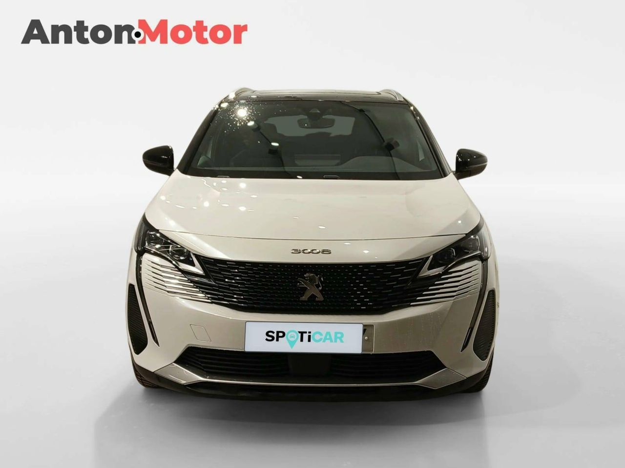 peugeot 3008 2021 / foto grande (2)