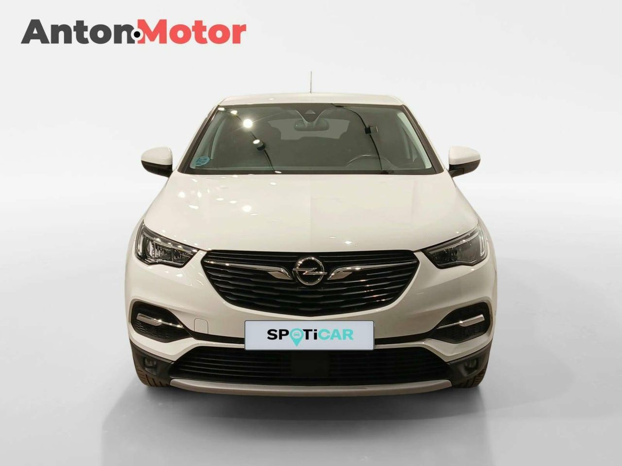 opel grandland x 2020 / foto grande (2)