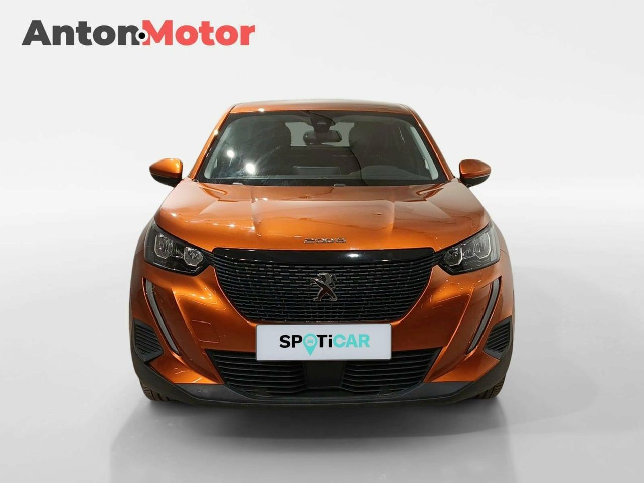 peugeot 2008 2021 / foto grande (2)