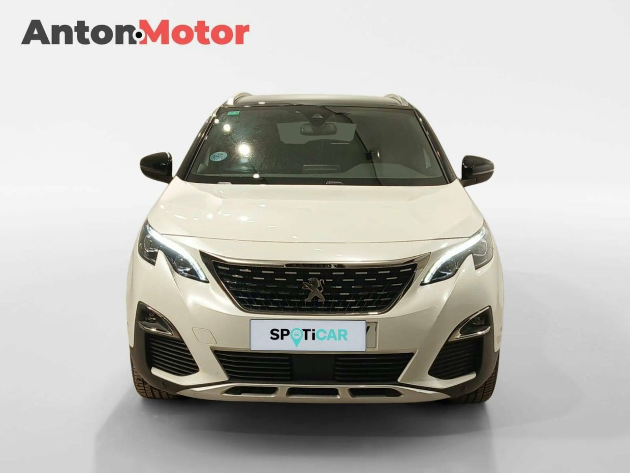peugeot 3008 2019 / foto grande (2)