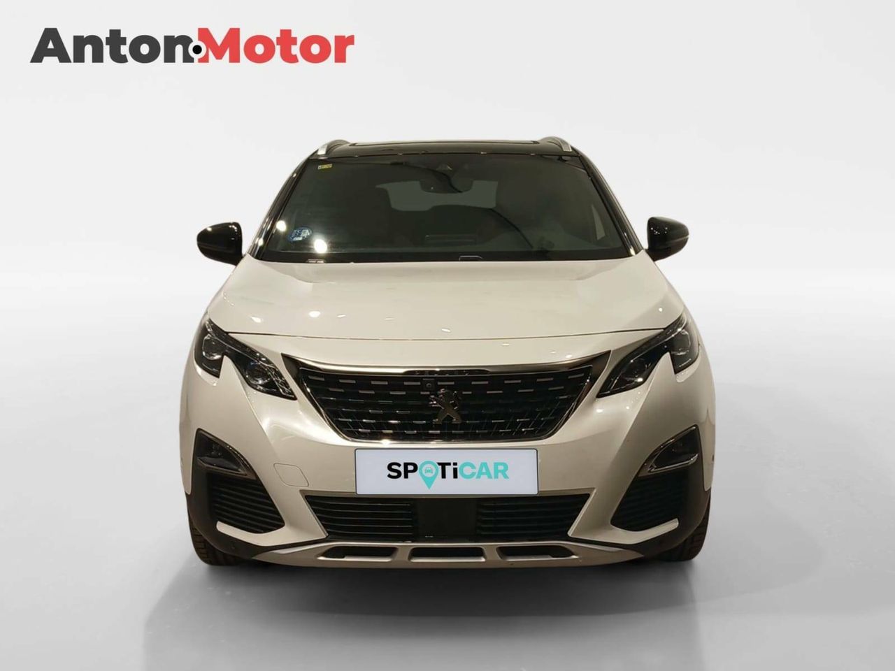 peugeot 3008 2020 / foto grande (2)