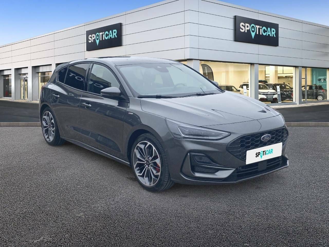 ford focus 2023 / foto grande (3)