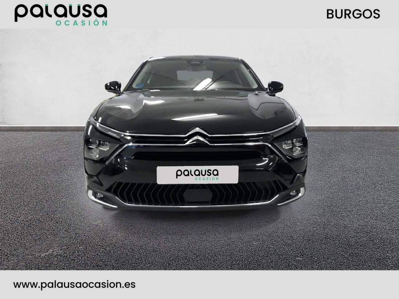 citroën c5 x 2023 / foto grande (2)