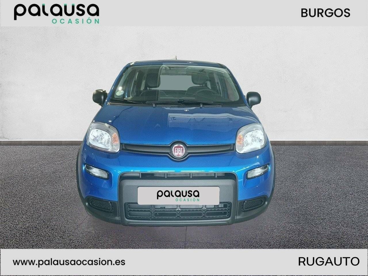 fiat panda 2025 / foto grande (3)
