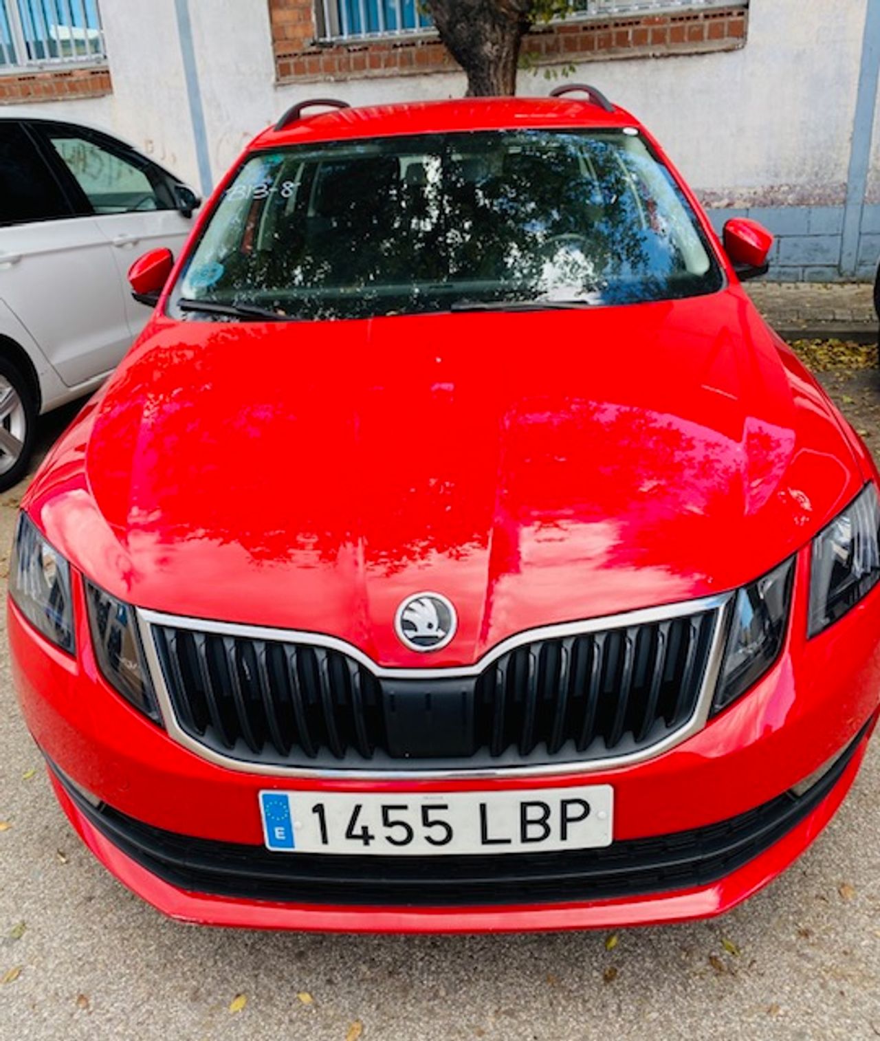 skoda octavia combi 2019 / foto grande (2)