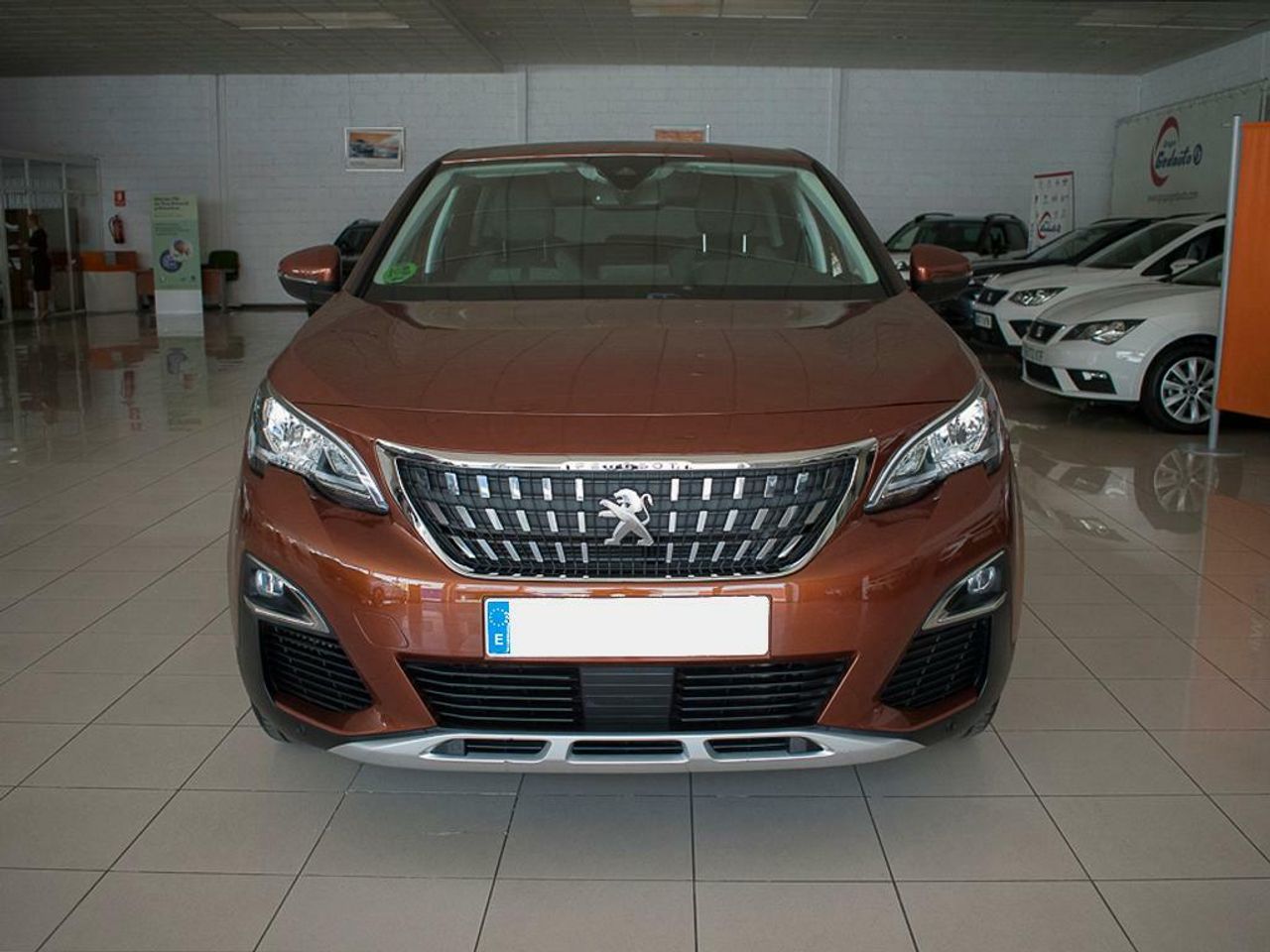 peugeot 3008 2018 / foto grande (3)