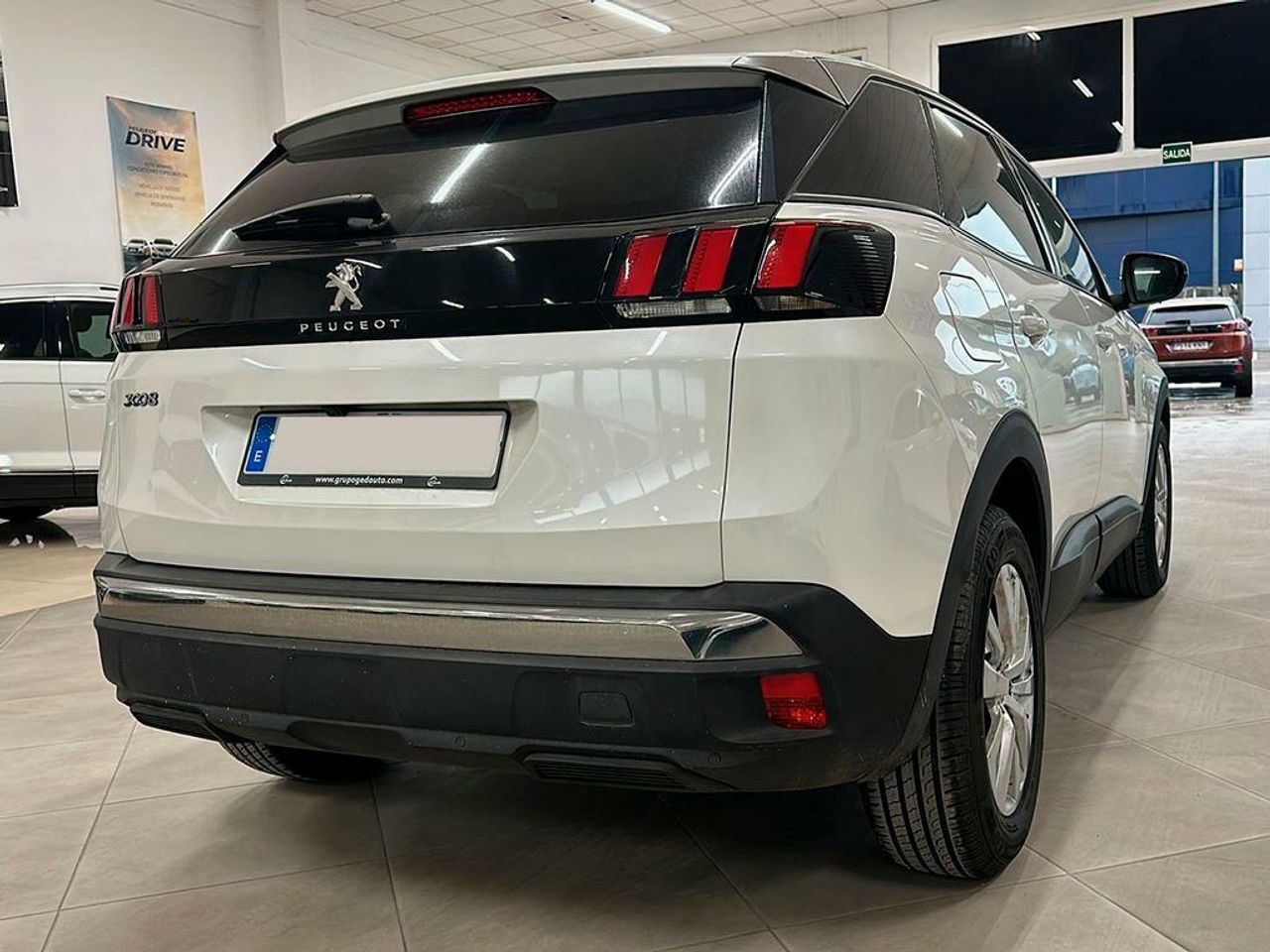 peugeot 3008 2019 / foto grande (3)
